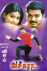Vaseegara 2003 on netflix