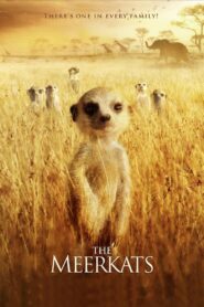 The Meerkats 2008 on netflix