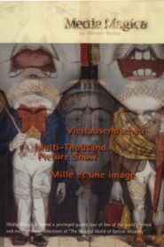 Multi-Thousand Picture Show 1996 on netflix