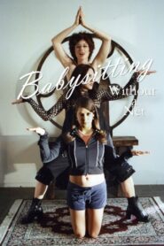 Babysitting Without a Net 2006 on netflix