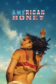 American Honey 2016 on netflix