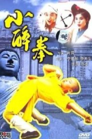 The Little Drunken Masters 1995 on netflix