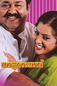 Natturajavu 2004 on netflix