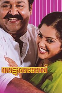 Natturajavu 2004 on netflix
