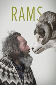 Rams 2015 on netflix