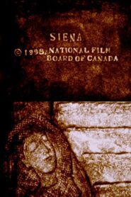 Siena 1999 on netflix