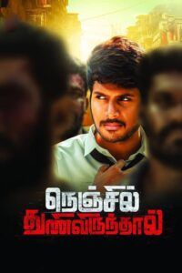Nenjil Thunivirunthal 2017 on netflix
