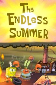 The Endless Summer 2005 on netflix