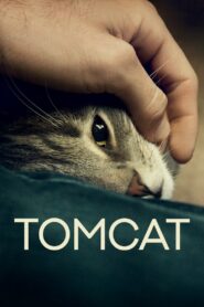 Tomcat 2016 on netflix