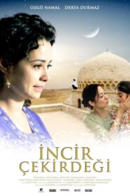 İncir Çekirdeği 2009 on netflix