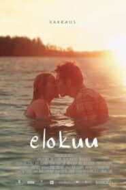 August 2011 on netflix