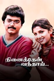 Ninaithen Vandhai 1998 on netflix