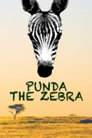 Punda the Zebra 2017 on netflix
