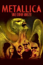 Metallica: Some Kind of Monster 2004 on netflix