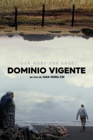 Dominio Vigente 2021 on netflix