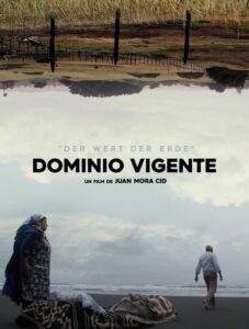 Dominio Vigente 2021 on netflix
