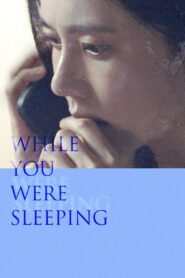 While You Were Sleeping 2024 on netflix