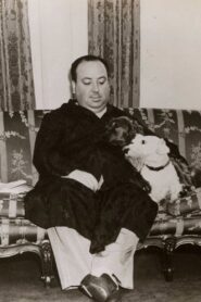 Alfred Hitchcock: The Early Years 2004 on netflix