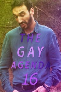The Gay Agenda 16 2022 on netflix
