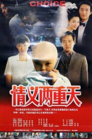 情义两重天 2000 on netflix