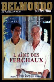 L’Aîné des Ferchaux 2001 on netflix