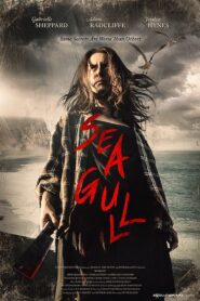Seagull 2019 on netflix
