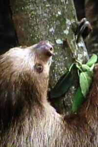 The Glass Ark 1994 on netflix