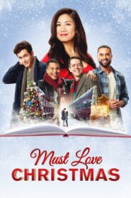 Must Love Christmas 2022 on netflix
