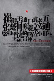 20 Years of Original Chinese Music 2011 on netflix
