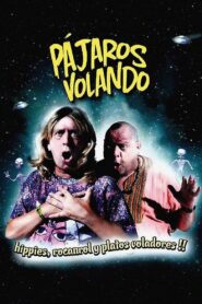 Pájaros volando 2010 on netflix