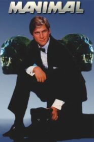 Manimal 1983 on netflix