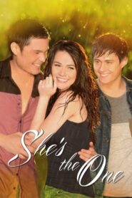 She’s The One 2013 on netflix