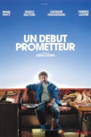 Un début prometteur 2015 on netflix