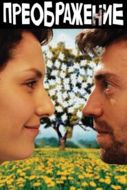 Mindsight 2016 on netflix