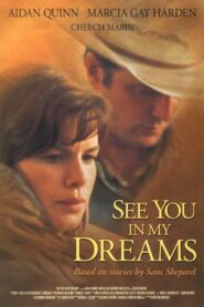 See You in My Dreams 2004 on netflix