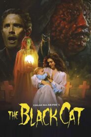 The Black Cat 1989 on netflix