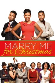 Marry Me For Christmas 2013 on netflix