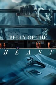Belly of the Beast 2020 on netflix
