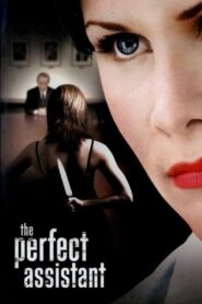 The Perfect Assistant 2008 on netflix
