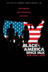 Black America since MLK: And still I rise 2016 on netflix