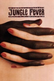 Jungle Fever 1991 on netflix