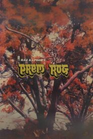 Prem Rog 1982 on netflix