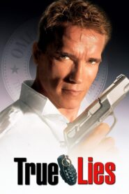 True Lies 1994 on netflix