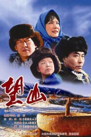 望山 2007 on netflix