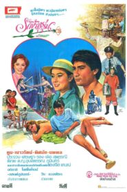 รักข้ามรุ่น 1982 on netflix