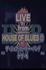 Jeff Healey – Live From House Of Blues, Atlanta 1996 on netflix