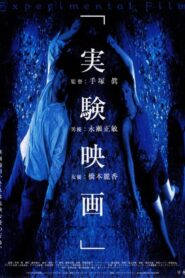 The Experimental Film 2000 on netflix