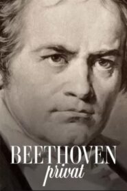 Beethoven privat 2020 on netflix