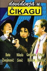 See You in Chicago 1996 on netflix