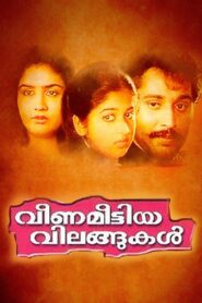Veena Meettiya Vilangukal 1991 on netflix